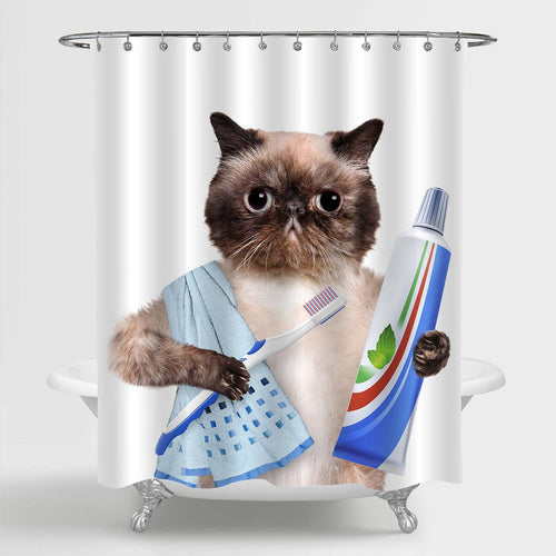 Brushing Teeth Cat Shower Curtain - Brown Blue