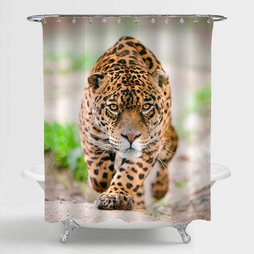 Deadly Leapard Performing an Attack Shower Curtain - Gold