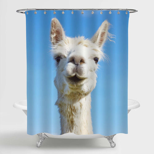 Cute Fluffy Llama Shower Curtain - Blue