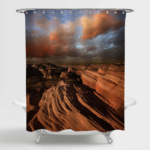 Red Rock Park Canyon Shower Curtain - Brown