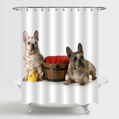 Funny Dirty Dogs for a Bath Shower Curtain - Brown