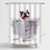 French Bulldog Reading Newspaper Shower Curtain - Grey