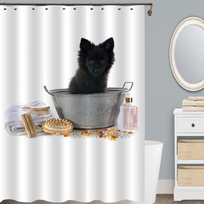 Black German Spitz in a Bathtub Shower Curtain