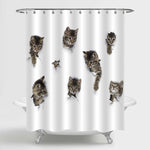 Cats Peeking Out of White Paper Shower Curtain - Grey