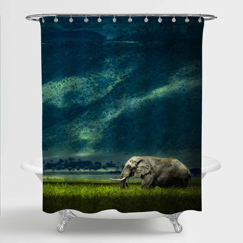 Sri Lankan Wild Elephant Walking in a Grass Field Under an Starry Night Sky Shower Curtain - Green