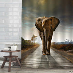 Elephant on a Gravel Pathway with Sunrise Backdrop Shower Curtain - Brown