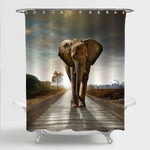 Elephant on a Gravel Pathway with Sunrise Backdrop Shower Curtain - Brown