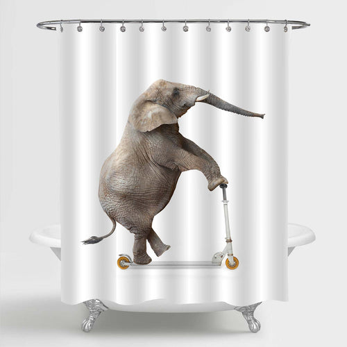 African Elephant Riding a Push Scooter Shower Curtain - Grey