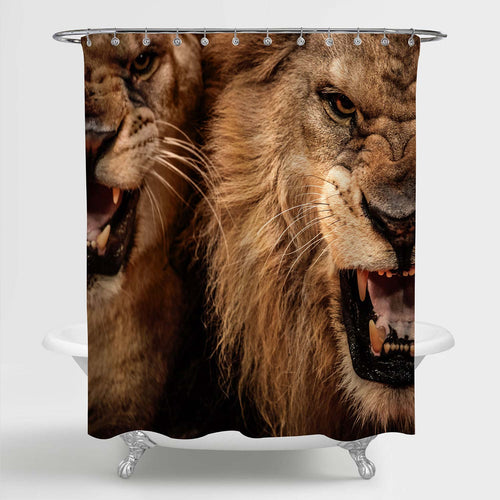 Close Up Portrait of Roaring Lions Shower Curtain - Gold