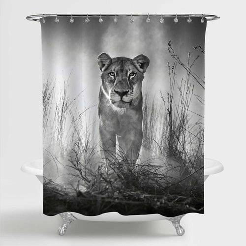 Female Lion Walking in the Grass Shower Curtain - Grey