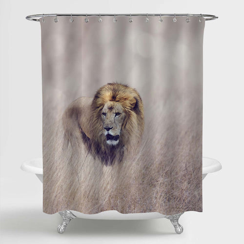 Big Male Lion Standing in the High Grass Shower Curtain - Sand