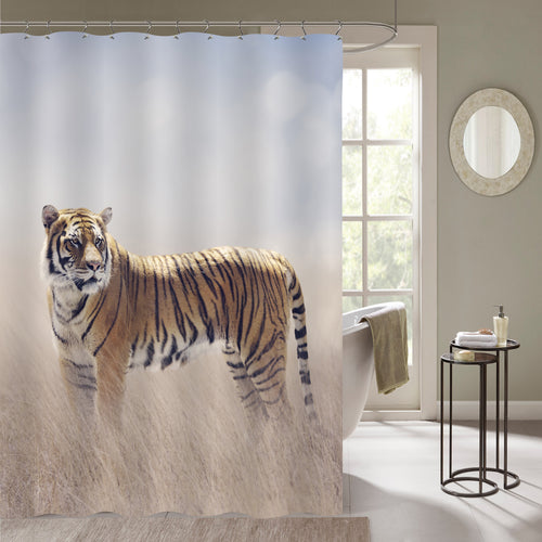 Male Bengal Tiger Walking in the Grassland Shower Curtain - Gold