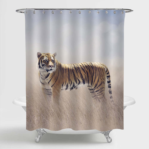 Male Bengal Tiger Walking in the Grassland Shower Curtain - Gold