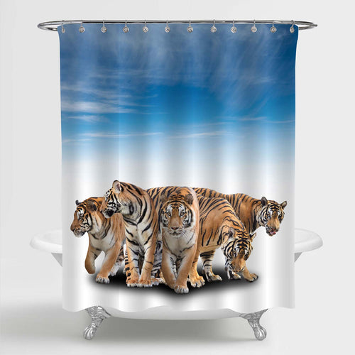 Group of Bengal Tiger Shower Curtain - Gold Blue