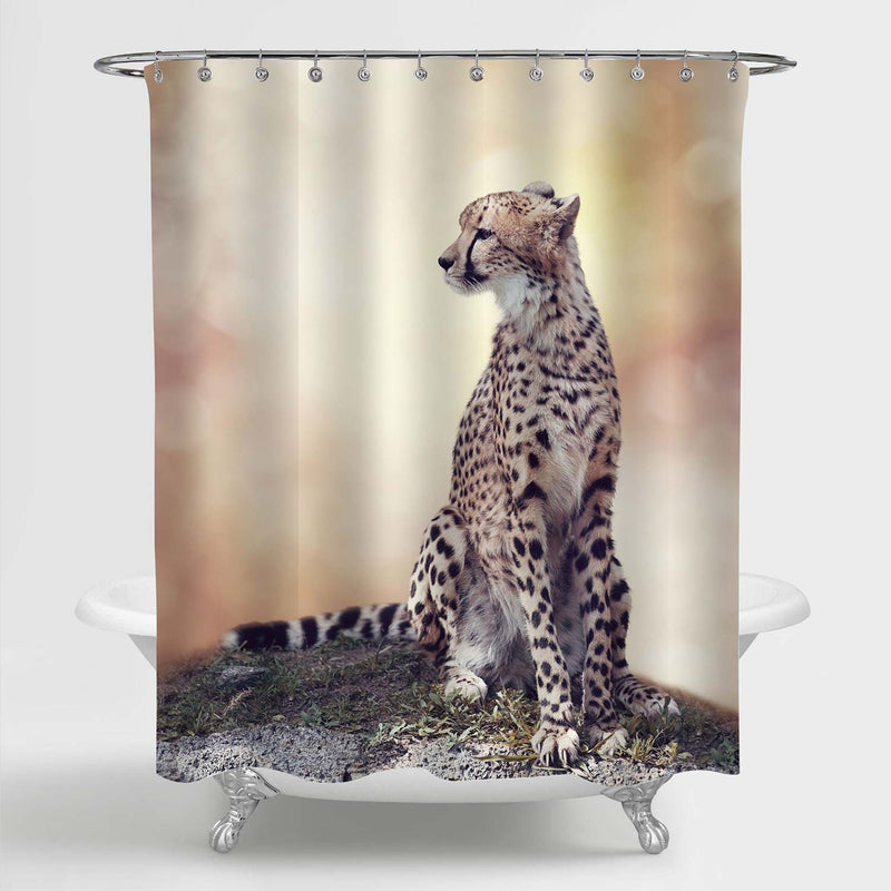 Cheetah Sitting on a Hill and Looking Around Shower Curtain - Gold
