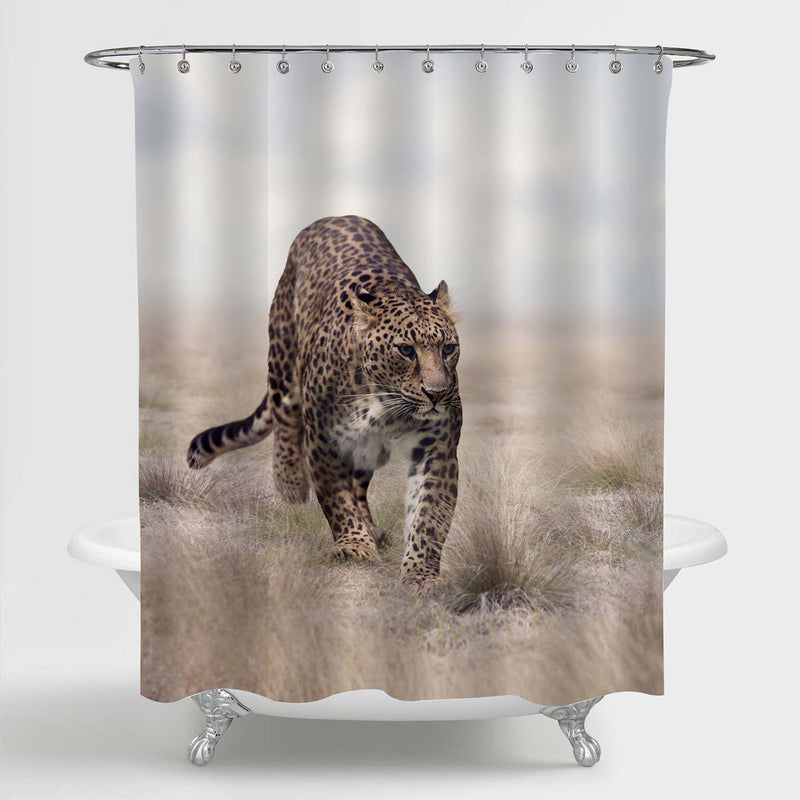 Majestic Leopard Walking in the Grassland Shower Curtain - Gold