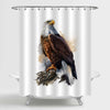 Watercolor Bald Eagle Shower Curtain - Brown