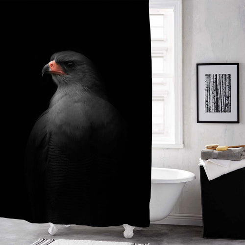 Pale Chanting Goshawk Portrait Shower Curtain - Black