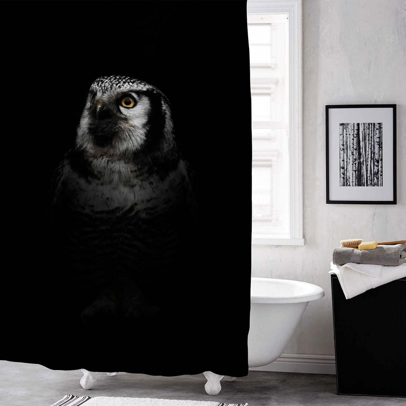 Northern Hawk Owl Shower Curtain - Black