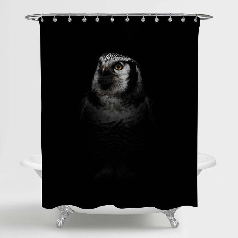 Northern Hawk Owl Shower Curtain - Black