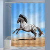 Horse Appaloosa Play on Meadow Shower Curtain - Blue Brown