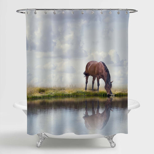 Horse Drinking Water in a Lake Shower Curtain