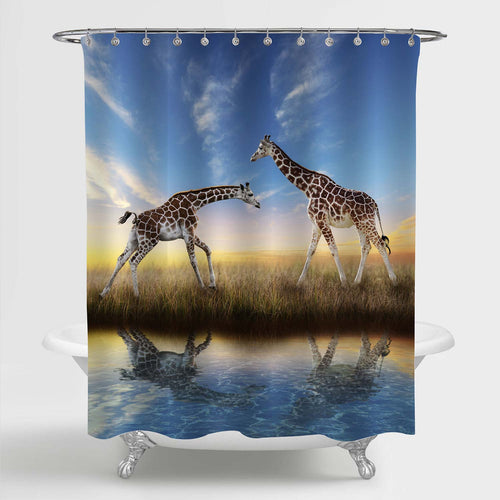 Giraffes Playing at Sunset with African Safari Park Shower Curtain - Blue Gold