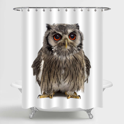 Northern White-faced Owl Shower Curtain - Grey