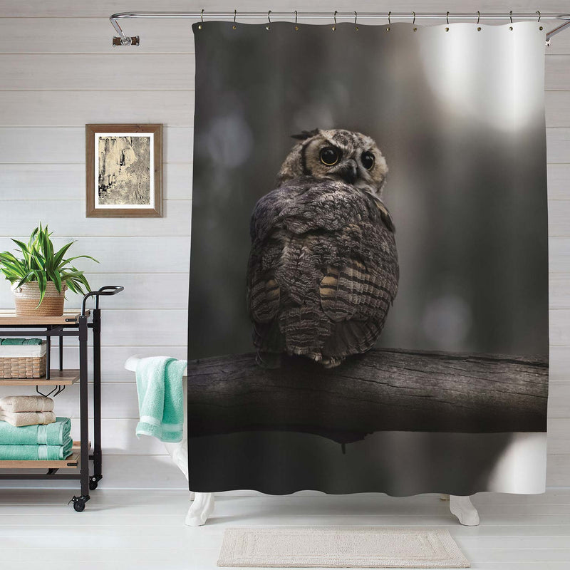 Wise Old Night Owl Perched on a Branch at Sunrise Photograph Shower Curtain for Rustic Home Decor, Waterproof Durable Machine Washable Fabric Bathroom Accessories, Grey, 72 by 72 Standard