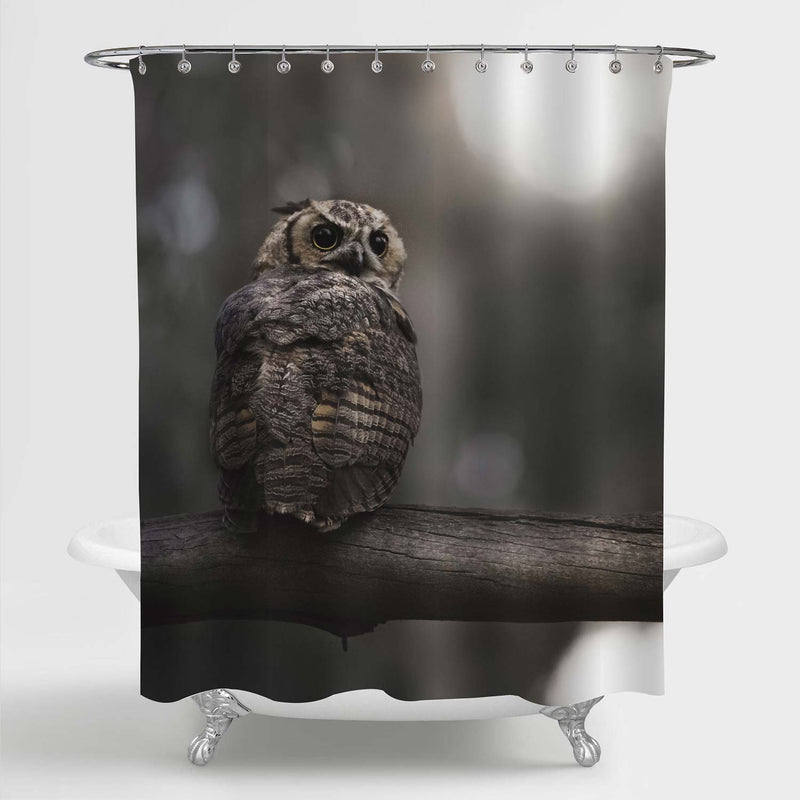 Wise Old Night Owl Perched on a Branch at Sunrise Photograph Shower Curtain for Rustic Home Decor, Waterproof Durable Machine Washable Fabric Bathroom Accessories, Grey, 54 by 78 for Stall