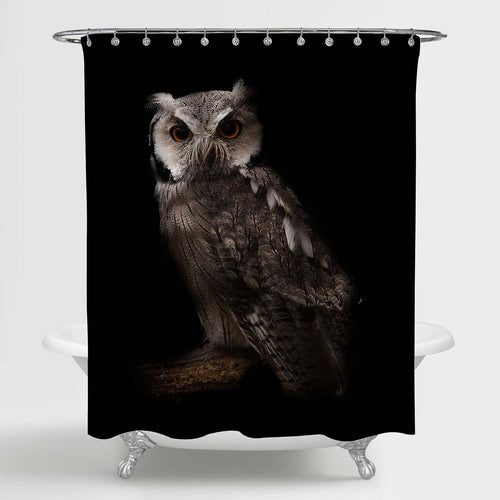 Northern White Faced Owl Portrait Shower Curtain - Black Brown