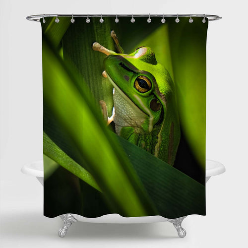 Green Bell Frog Sitting Inside Leaves in a Garden Shower Curtain - Green